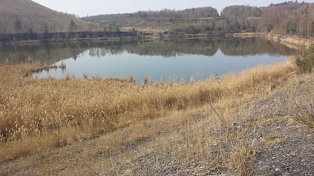 Balade Freyming - Accès au lac