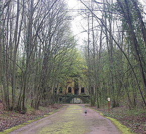 Balade Fort Queleu Metz - chemins - Cyno'Logik