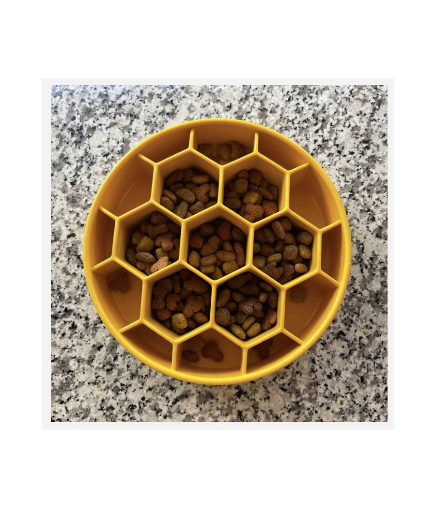 Gamelle anti-glouton Honey Bowl Sodapup