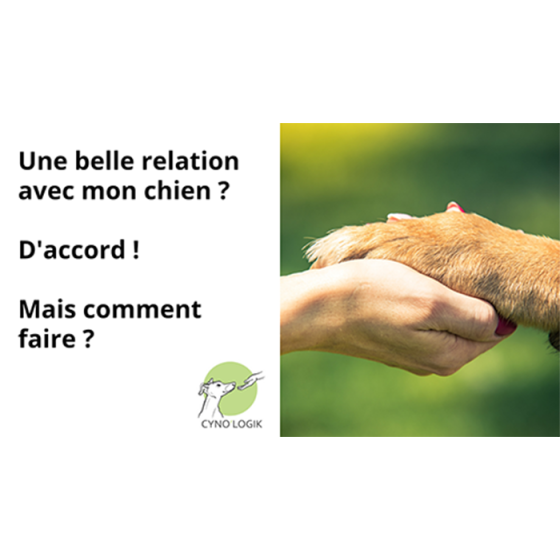 Avoir une belle relation avec son chien ? D'accord mais comment ?