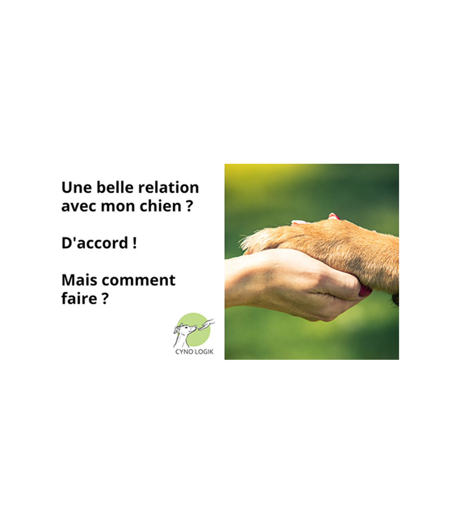 Avoir une belle relation avec son chien ? D'accord mais comment ?