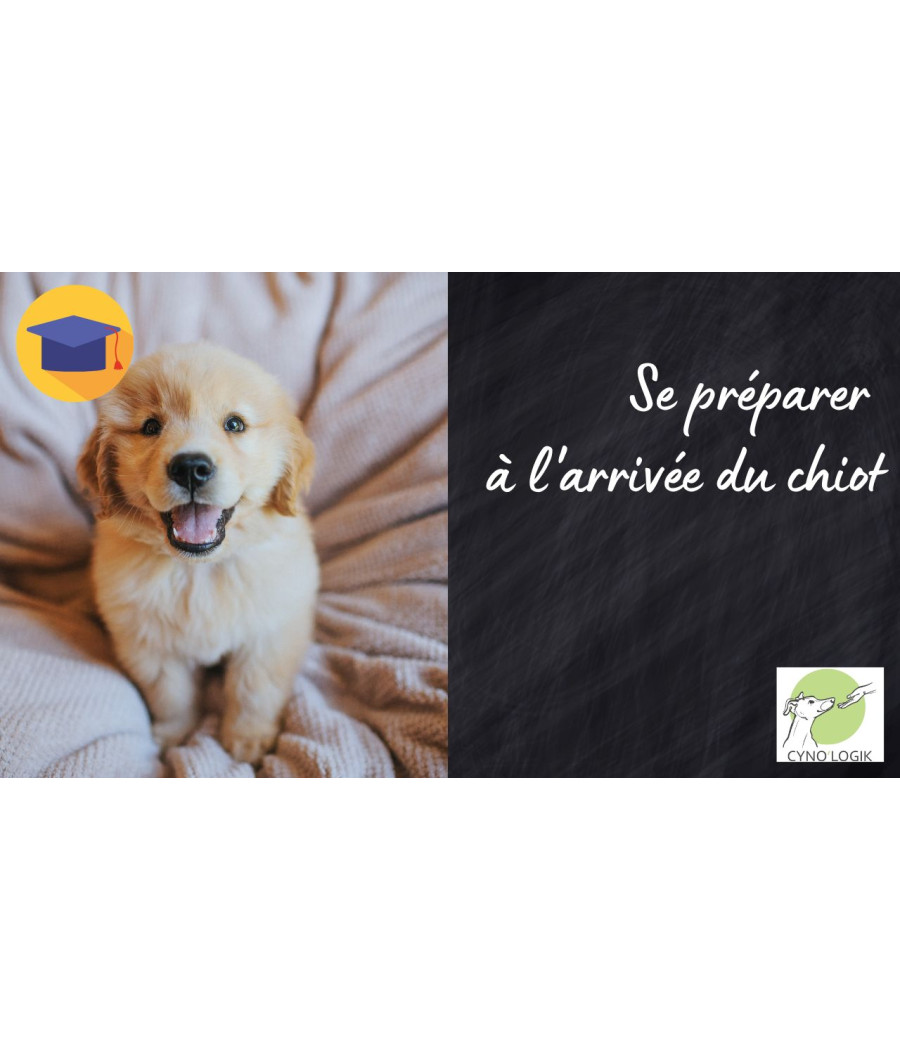 Se préparer à l'arrivée du chiot