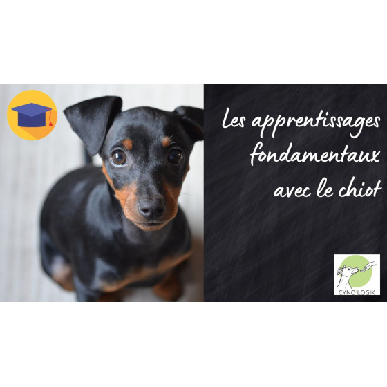 Les apprentissages fondamentaux