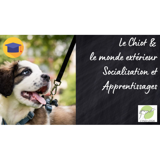 Le chiot et le monde exterieur