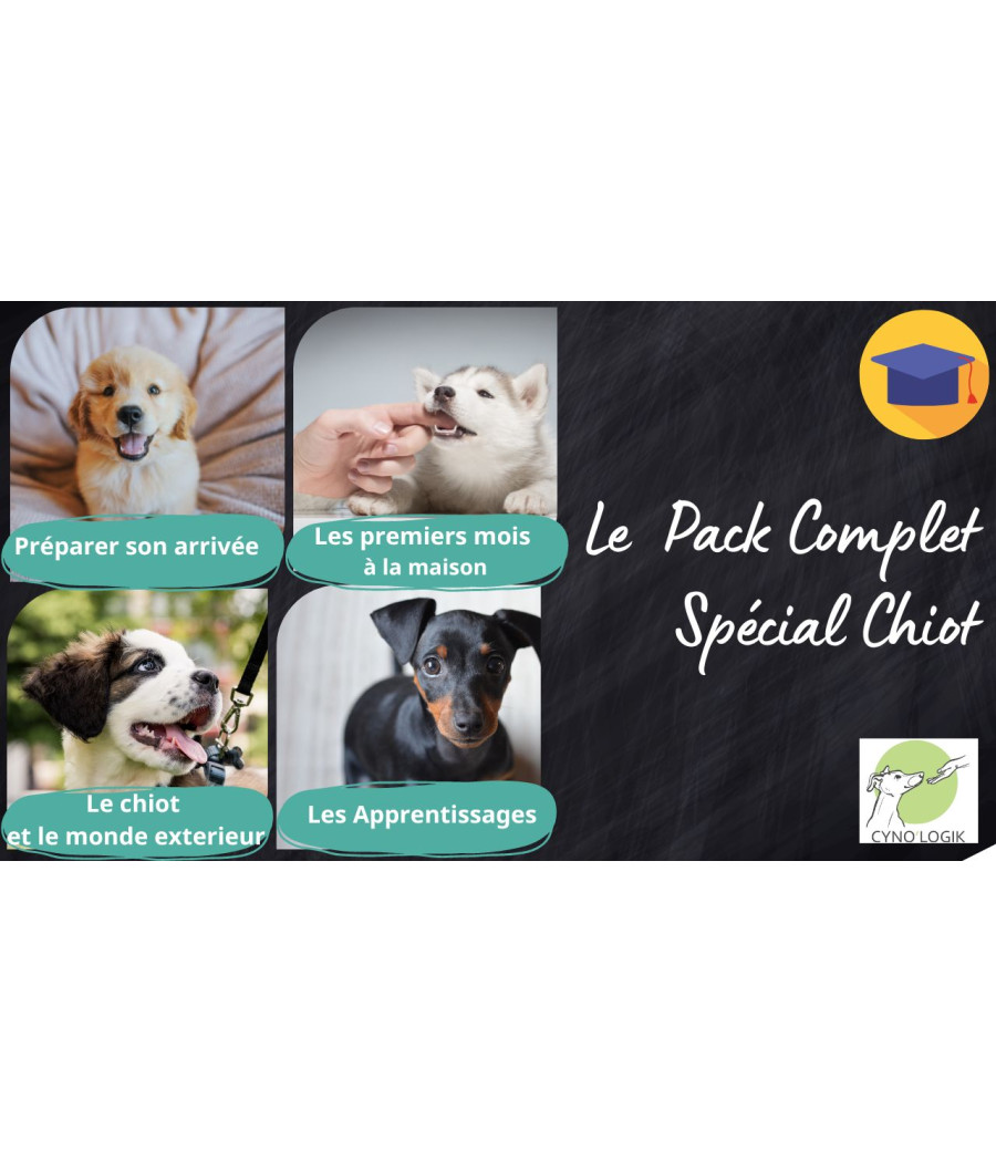 Pack complet spécial chiot