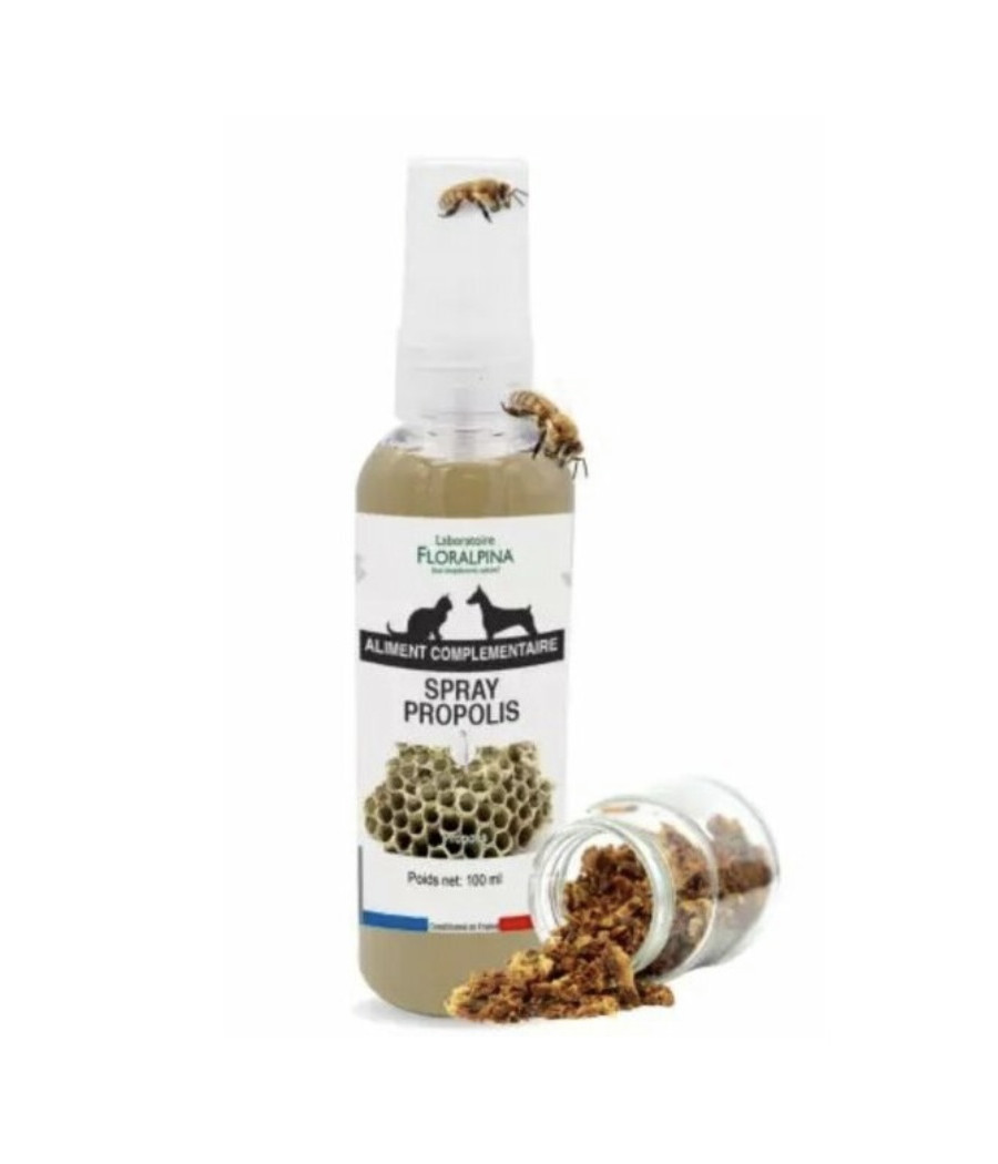 Propolis en Spray Floralpina