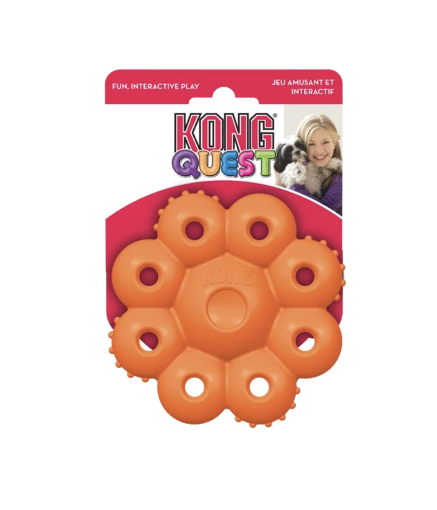 Kong quest star Pods