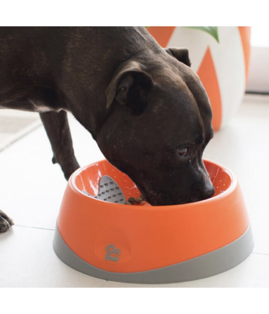 Gamelle OH Bowl Lickimat