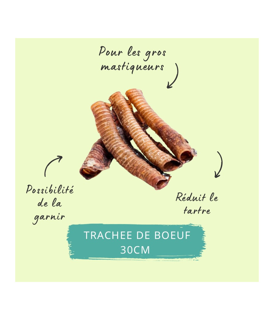 Trachée de boeuf longue 500g