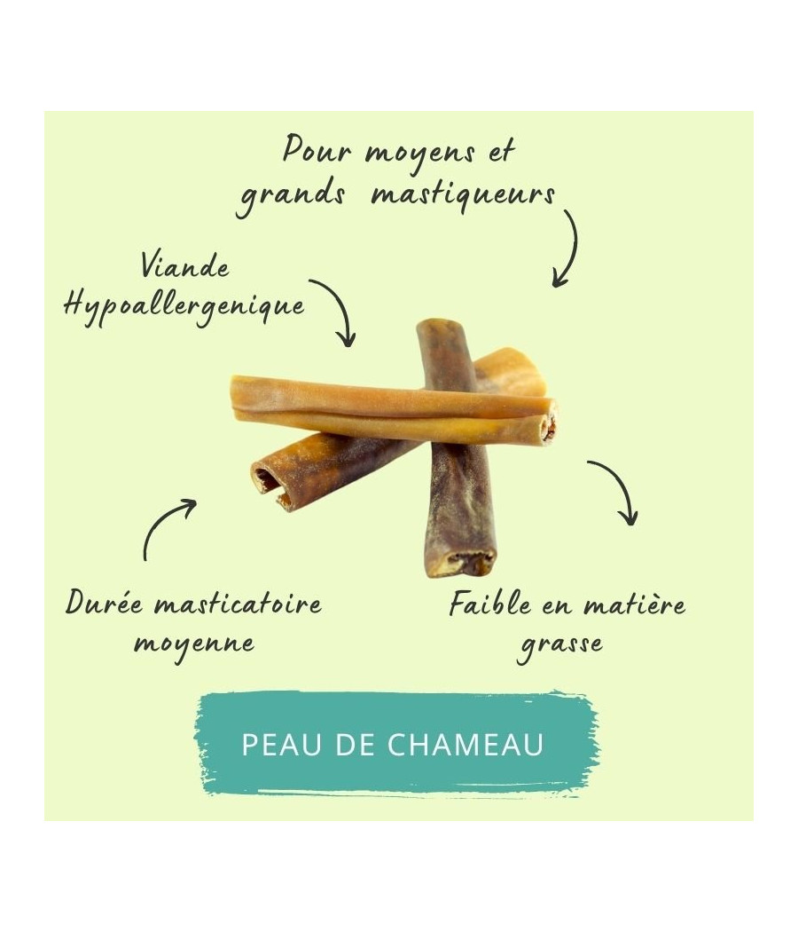 Lamelles de peau de chameau