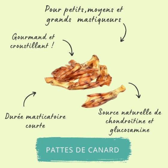 Pattes de canard