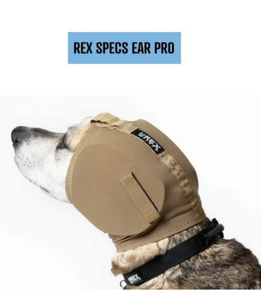 Casque anti-bruit Rex Specs