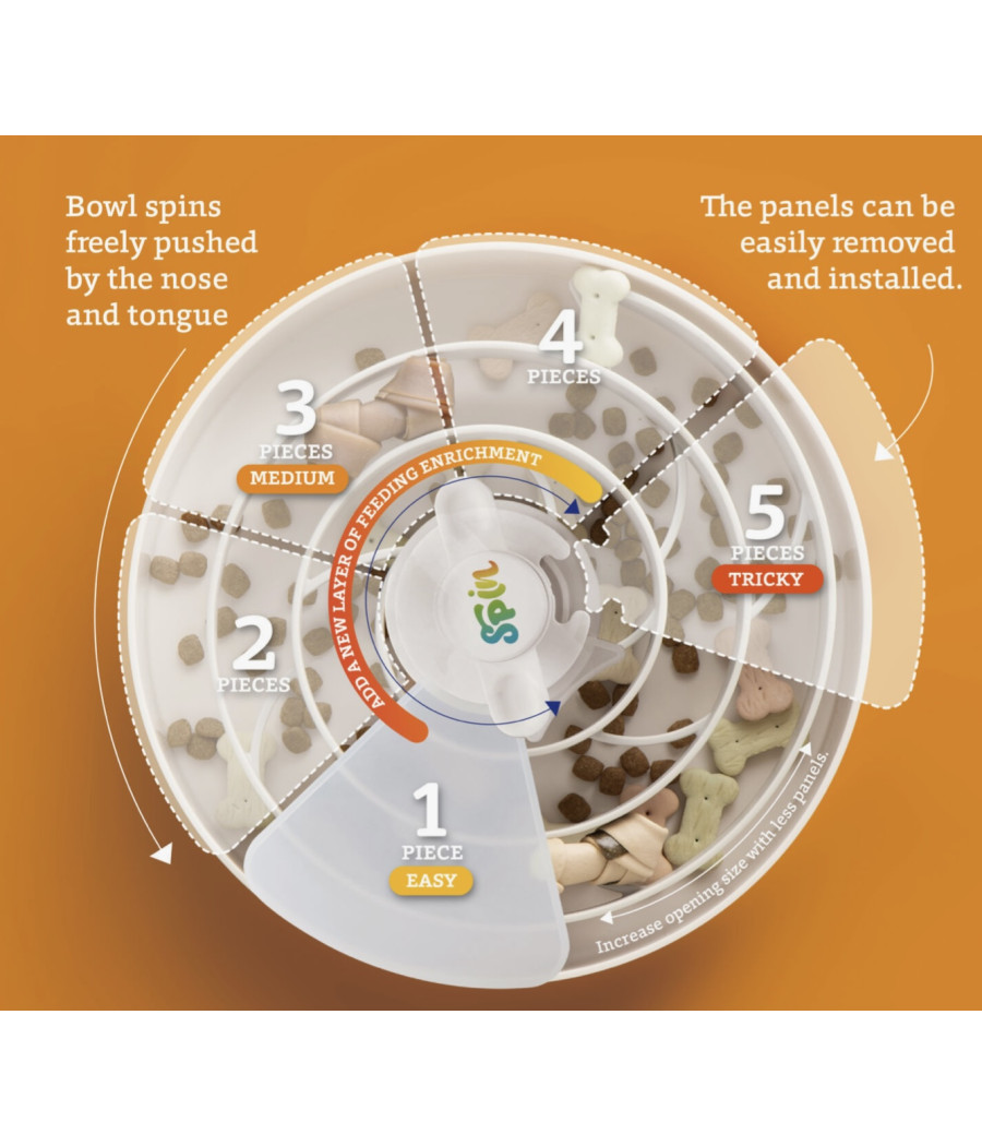 Gamelle Spin avec couvercle et spirale