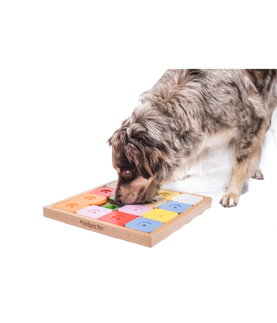 Jeu de réflexion "Sudoku Genius color » My Intelligent Pets