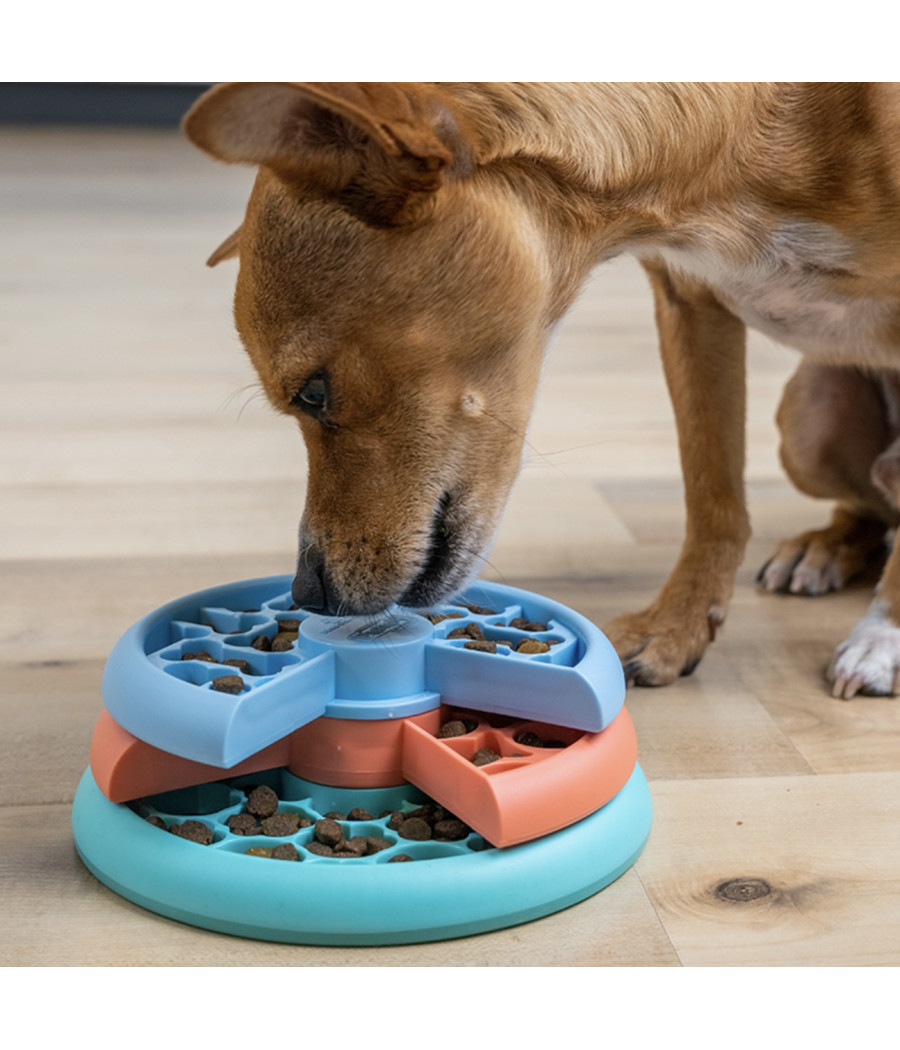 Puppy Lickin’ Layers Nina Ottosson chiot et petit chien