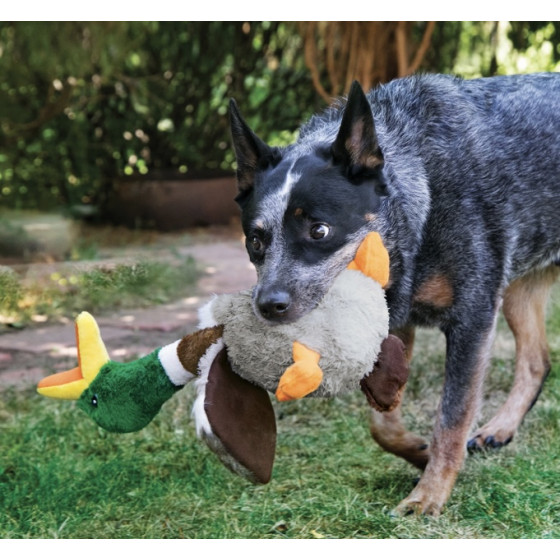 Peluche Canard Kong