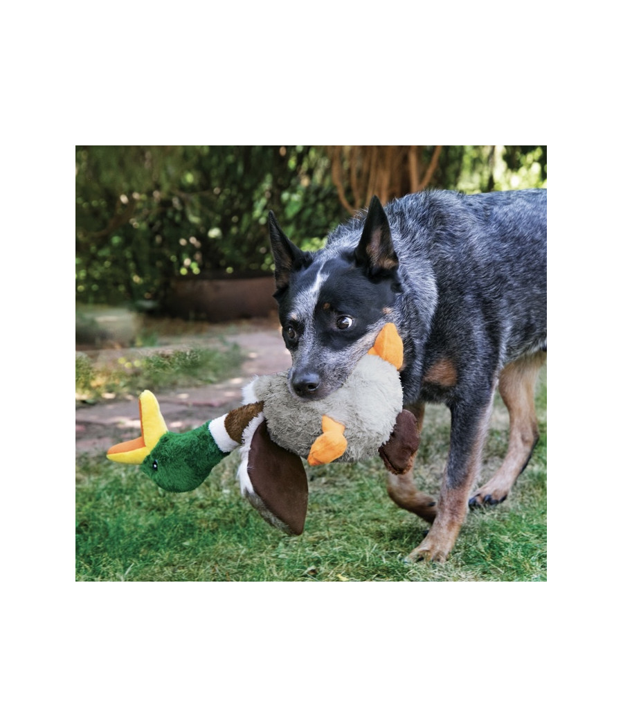 Peluche Canard Kong