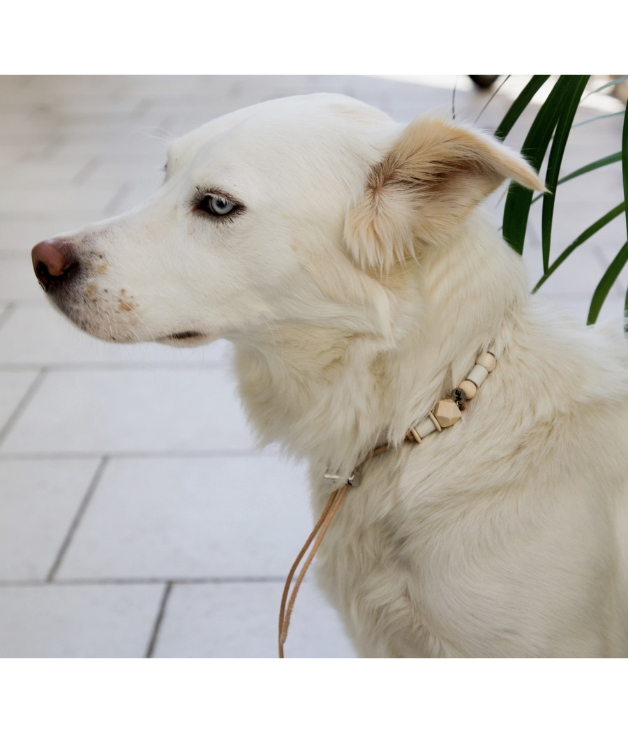 Collier céramique et cuir anti-tiques Les verts Moutons