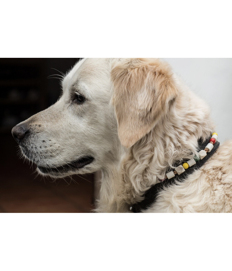 Collier céramique et cuir anti-tiques Les verts Moutons