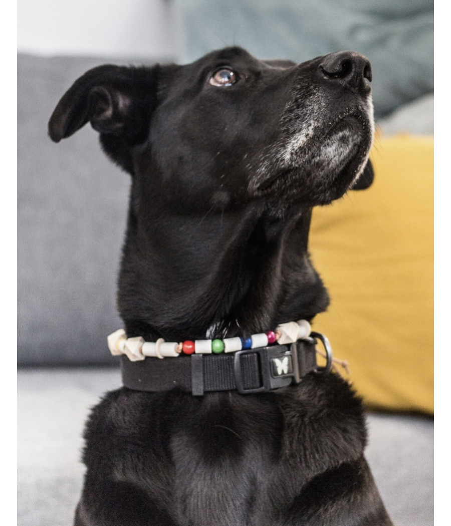 Collier céramique et cuir anti-tiques Les verts Moutons