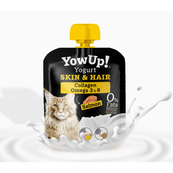 Yaourt pour chat Yow up