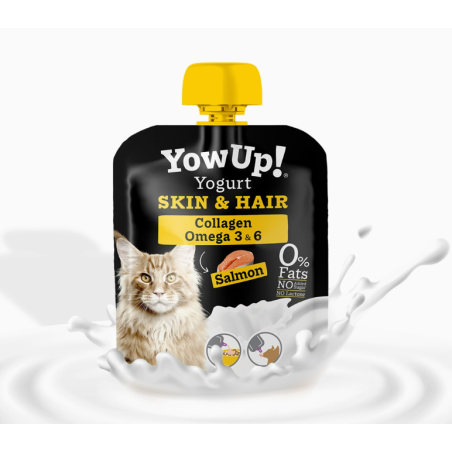 Yaourt pour chat Yow UP