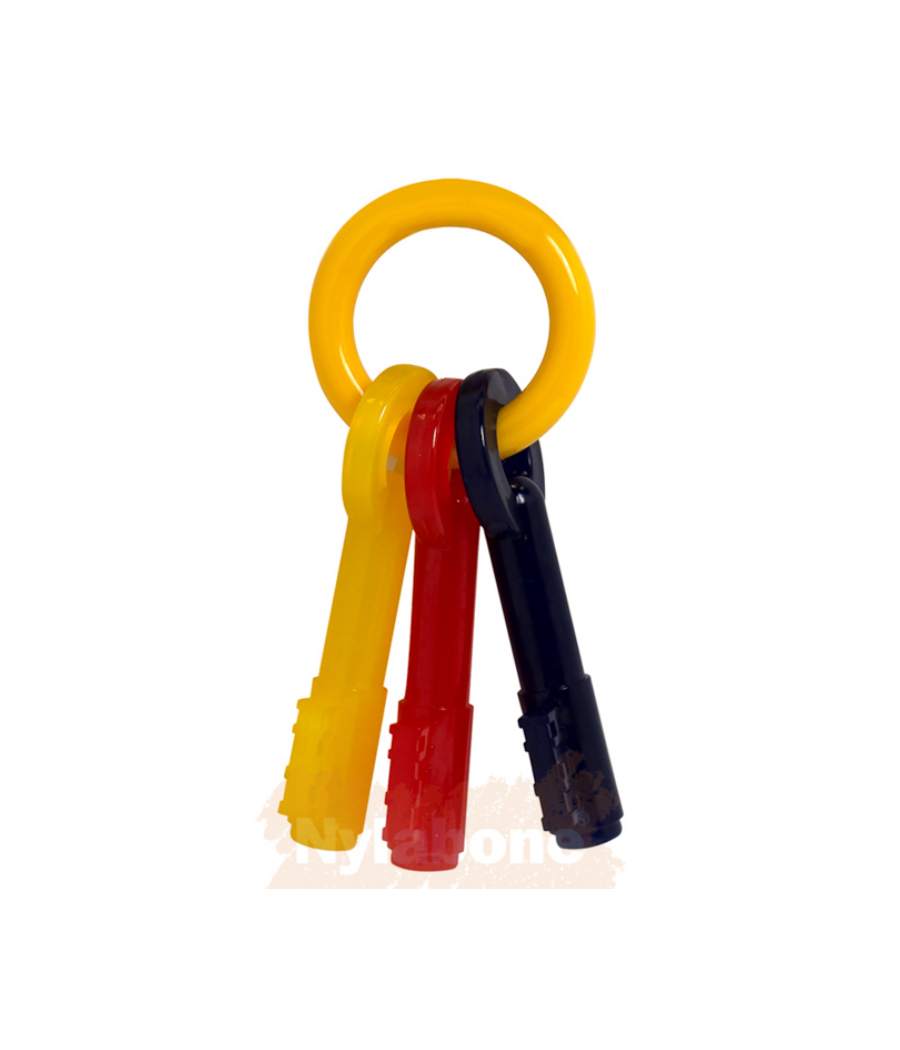 Nylabone Puppy teething Keys