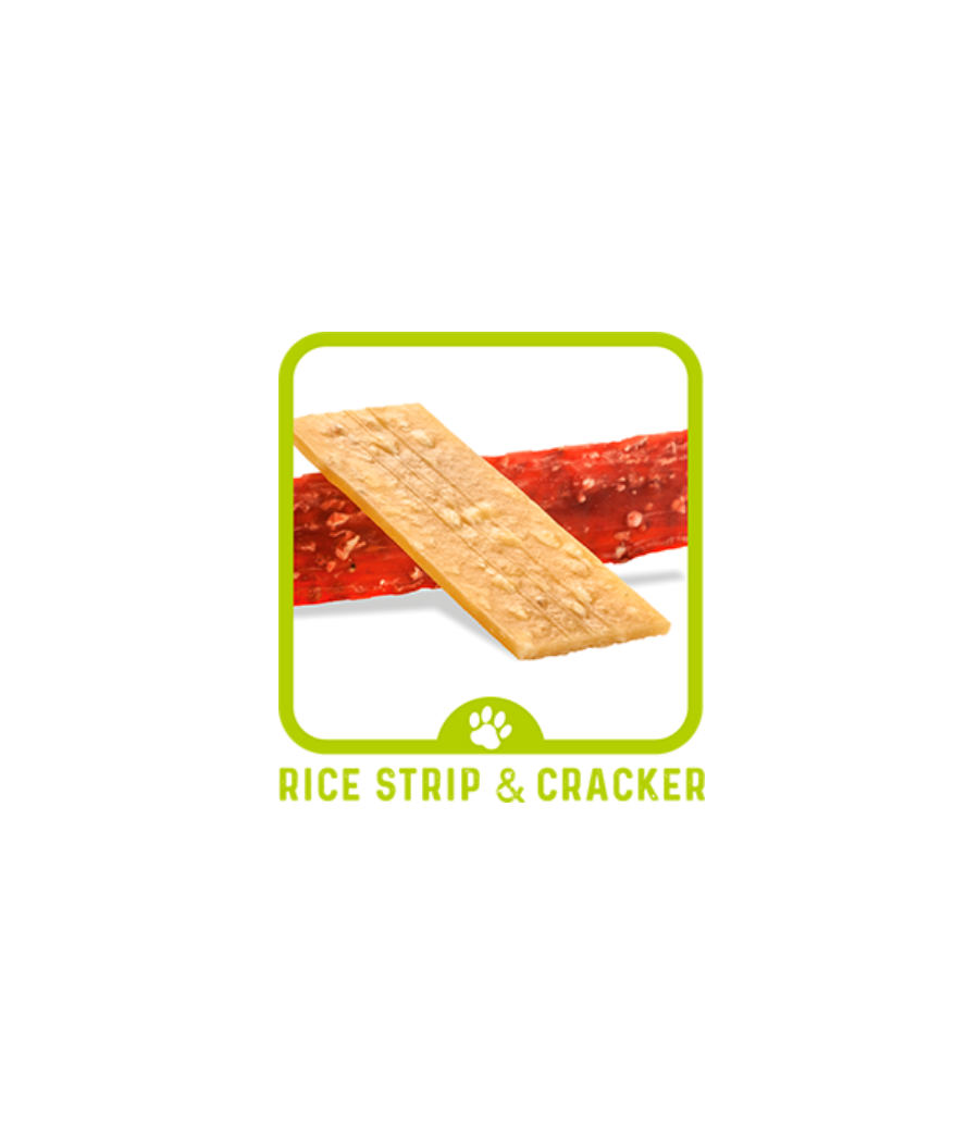 Rice Snack Cracker