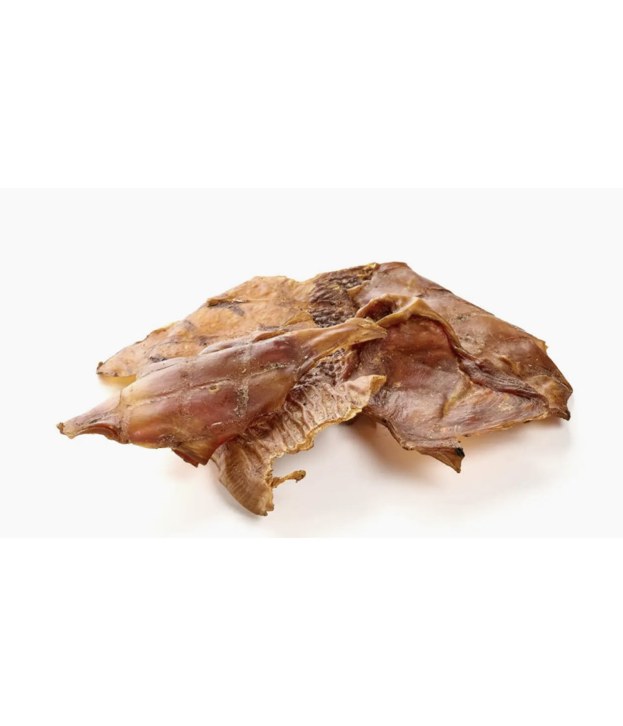 Viande d’autruche 100g