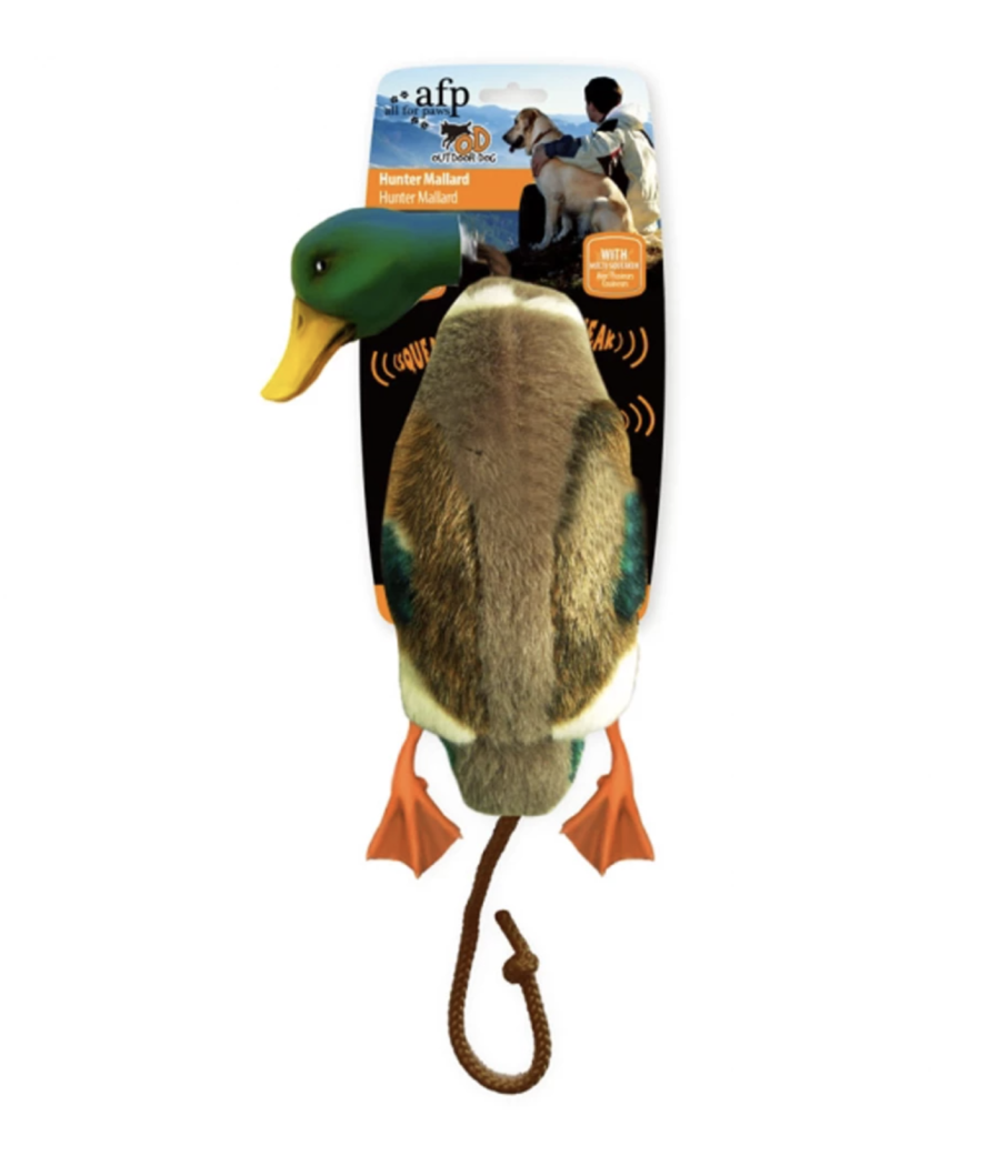 Canard Hunter