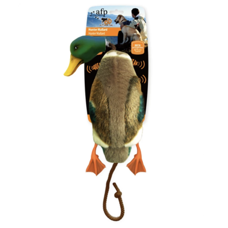 Canard Hunter