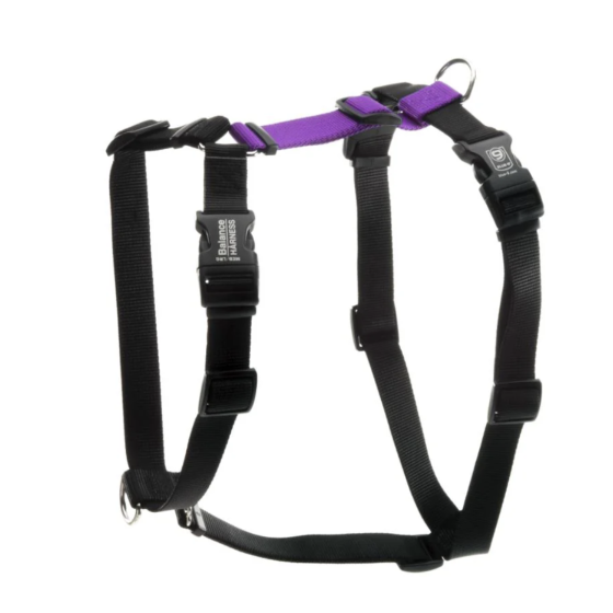Harnais Balance Harness Blue-9