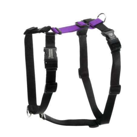 Balance Harness Harnais Blue-9