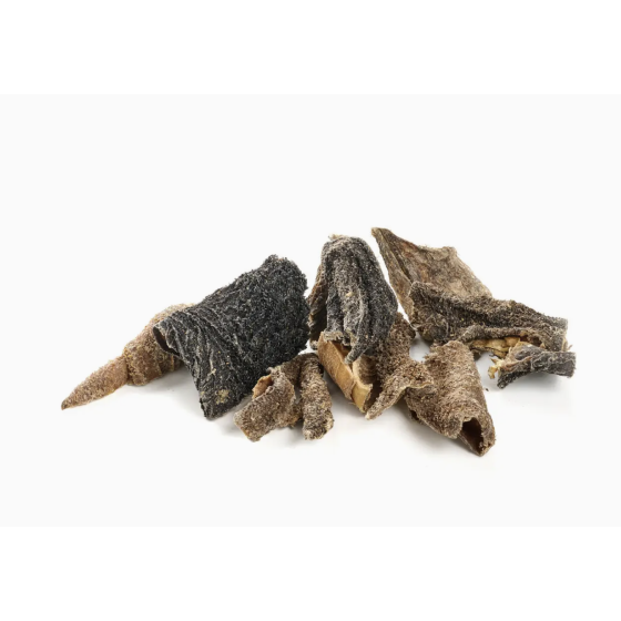 Panse de Cerf