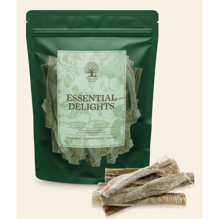 Iceland Fish delight