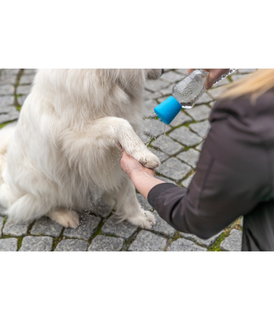 Douche mobile pour chien