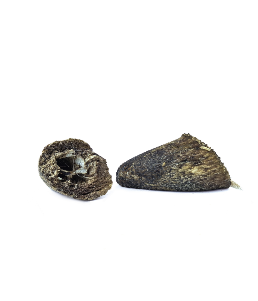 Noyaux de corne de boeuf 250g