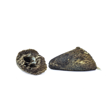 Noyaux de corne de boeuf 250g