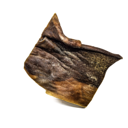 Plaques de peau de chameau 500g