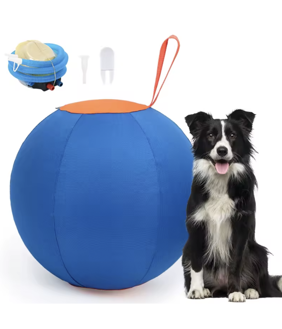 Ballon Treibball 45cm