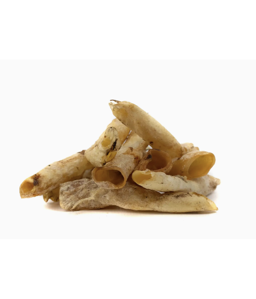 Aorte d'autruche 100g