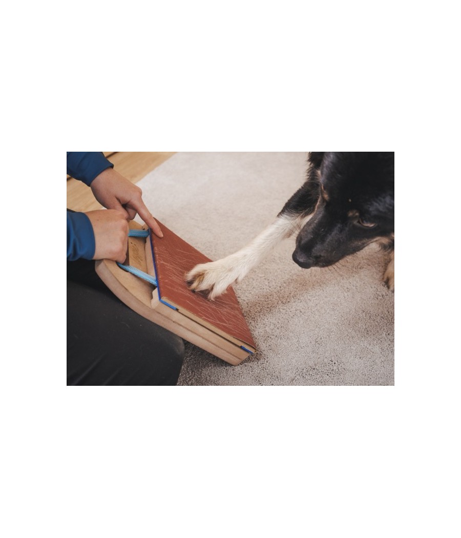 Griffoir pour chien Mani-Pedi