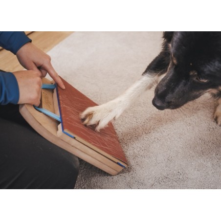 Griffoir pour chien Mani-Pedi