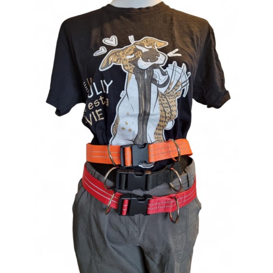 Ceinture de Canimarche