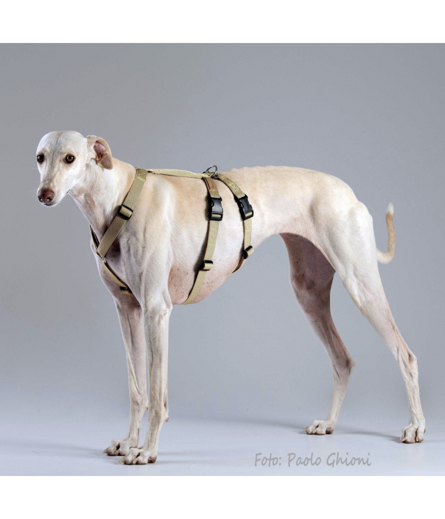 Harnais Double sangle H Haqihana