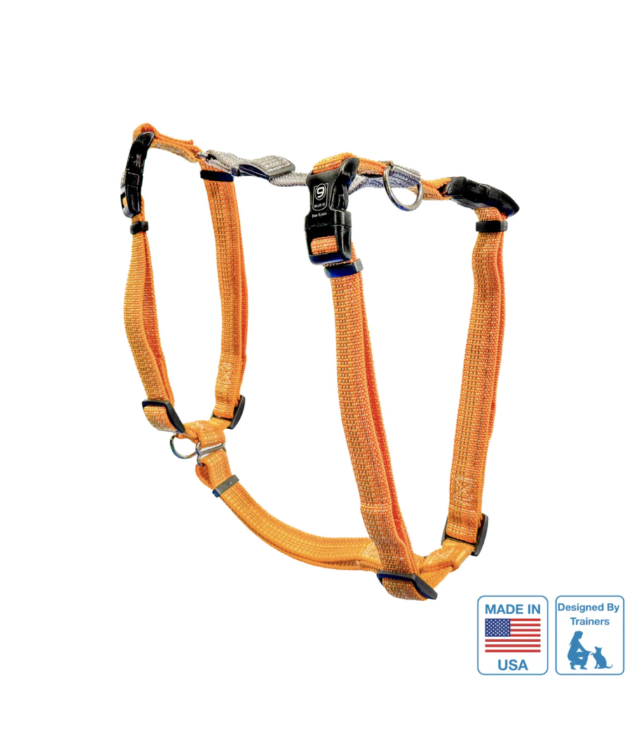 Harnais Balance Harness Réfléchissant Blue-9