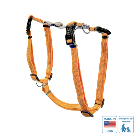 Balance Harness Réfléchissant Harnais Blue-9