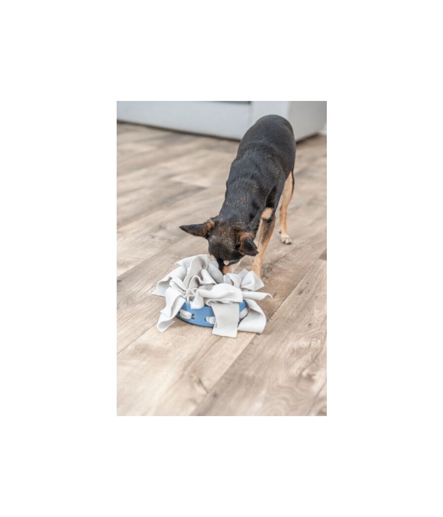 Hide'n Sniff Bowl