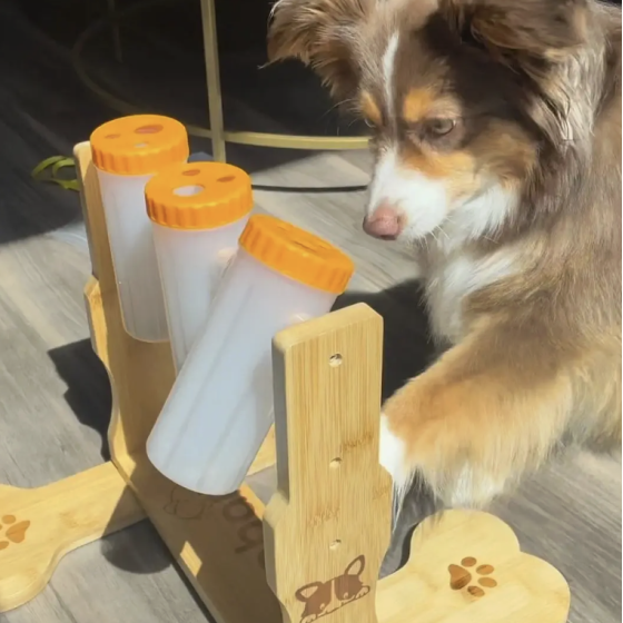 Distributeur de friandises SnackLab