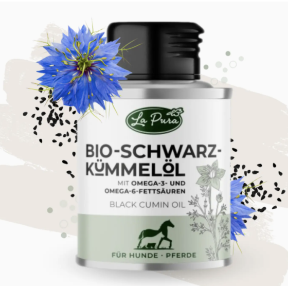 Huile de nigelle (cumin noir) bio